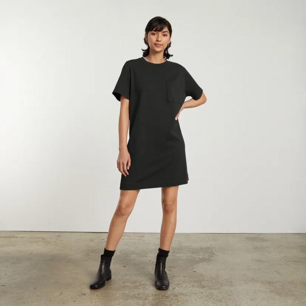 Everlane Weekend Tee Dress